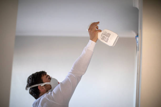 Best Mold Removal Near Me  in East Quincy, CA