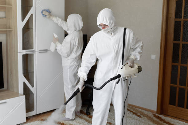 Best Toxic Mold Removal  in East Quincy, CA