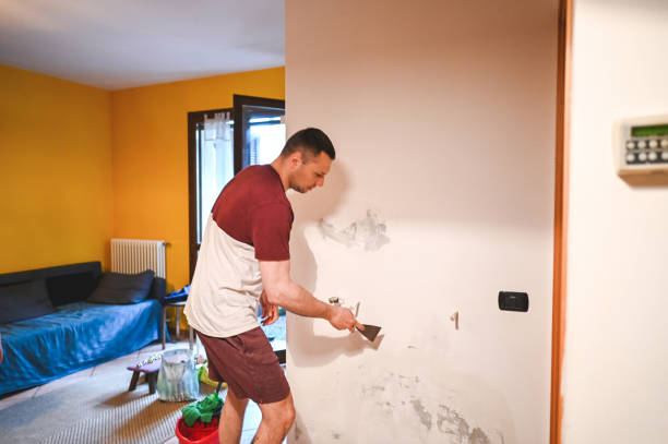 Best Residential Mold Removal  in East Quincy, CA